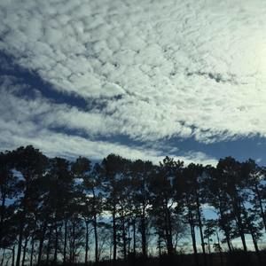 Meet your Posher, Christabella